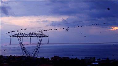 Spot piyasada elektrik fiyatları