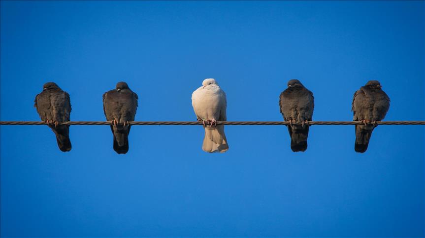 Spot market electricity prices for Wednesday, April 8