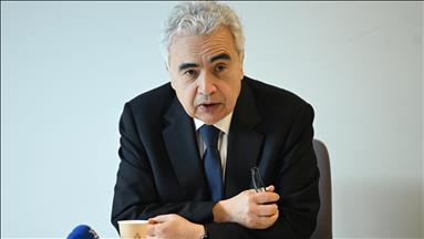 International Energy Agency warns rare earth supply diversification lags rising global demand