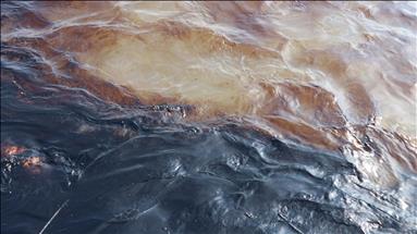 Belçika'nın Anvers Limanı'nda petrol sızıntısı gemi trafiğini durdurdu