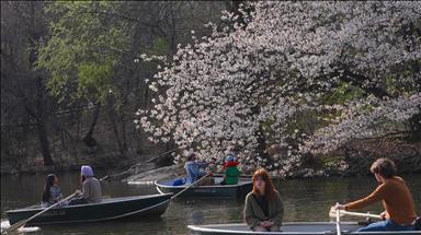 Mart 2026, dünyada kayıtlardaki en sıcak dördüncü mart ayı oldu