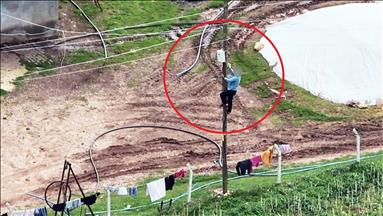 Dicle Elektrik, kaçak hatlarla mücadelesine ileri teknoloji uygulamalarıyla devam ediyor