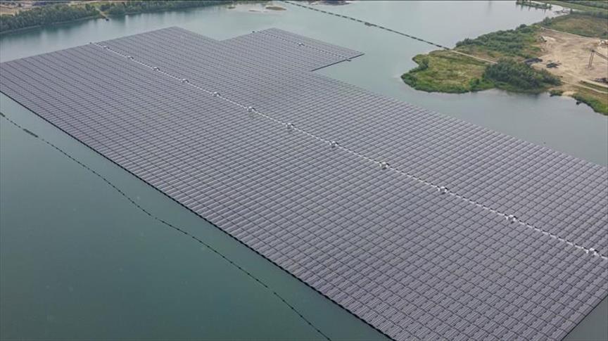 Yüzer güneş enerji santralleri doğal yaşama çatı oluyor