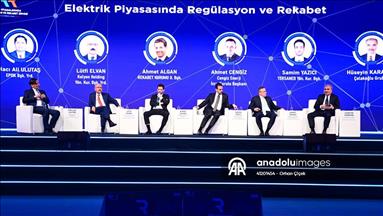 Antalya'da "Elektrik Piyasasında Regülasyon ve Rekabet" paneli düzenlendi