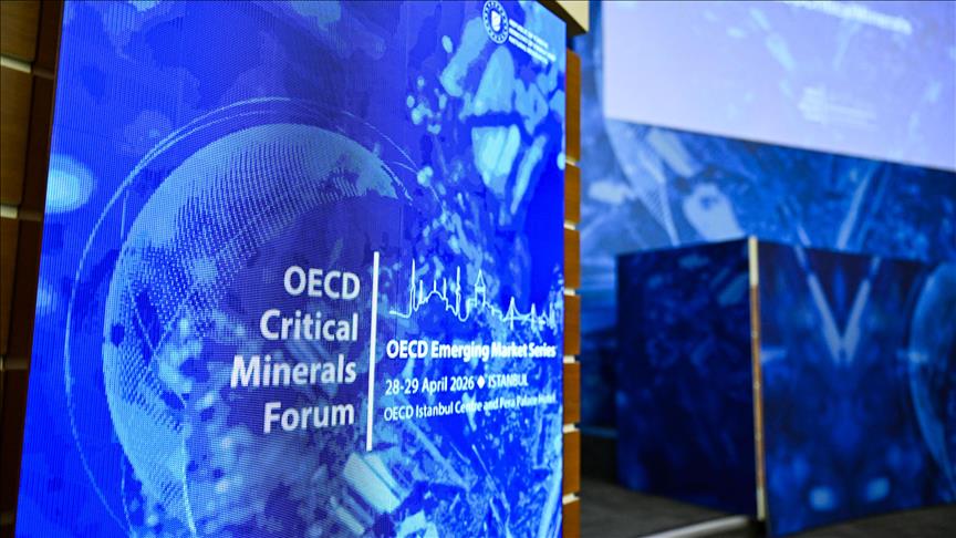 OECD Kritik Mineraller Forumu 