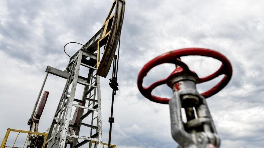 Japan to purchase Russian crude oil amid global energy crisis