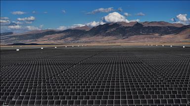 İspanya'daki güneş enerjisi santrali arı popülasyonları için güvenli yaşam alanı oldu