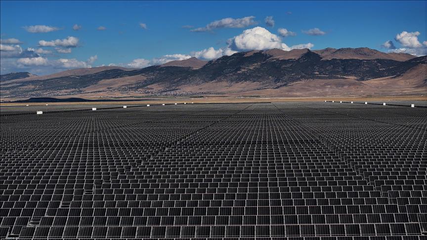 Solar power plant in Spain offers safe haven for bees