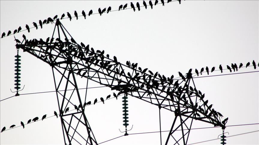 Günlük elektrik üretim ve tüketim verileri