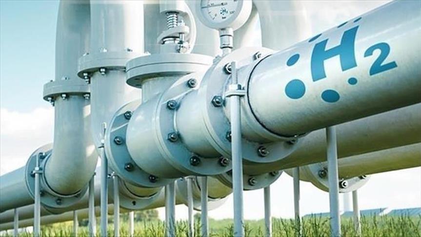 H2DO and partners begin feasibility studies for offshore green hydrogen production in North Sea