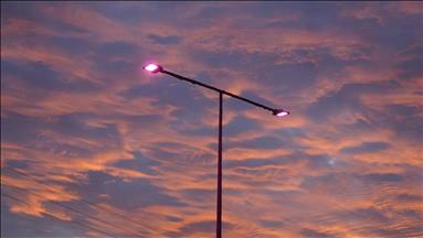 Spot market electricity prices for Thursday, Jun. 11