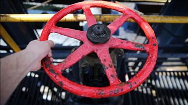 OPEC crude production drops 177,000 bpd in May