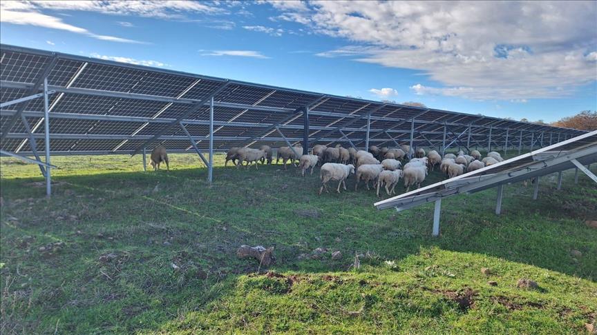 Borusan EnBW Enerji'den Çanakkale'de örnek döngüsel ekonomi modeli