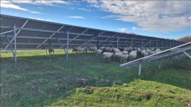 Borusan EnBW Enerji'den Çanakkale'de örnek döngüsel ekonomi modeli