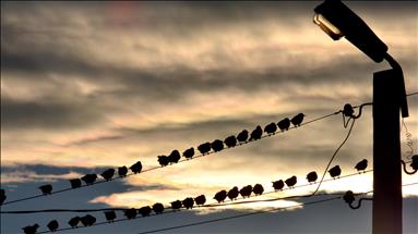 Spot piyasada elektrik fiyatları