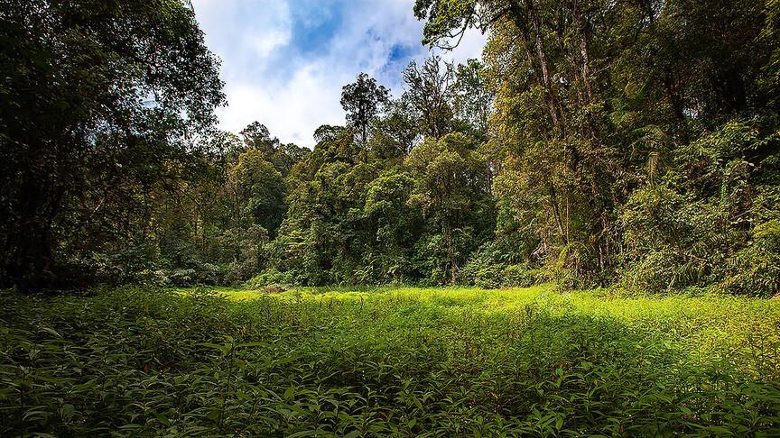 COP31 may mark turning point for climate finance, just transition, says expert