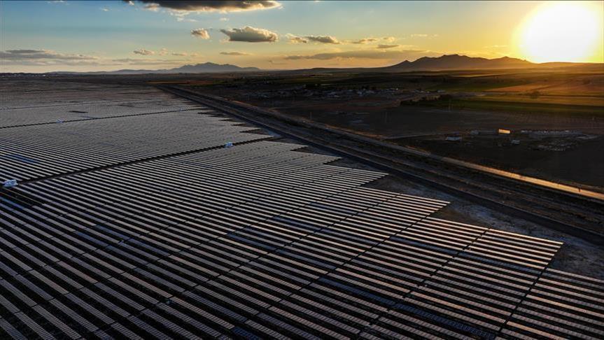 Renewables supplied nearly one-third of global electricity in 2024, IRENA says