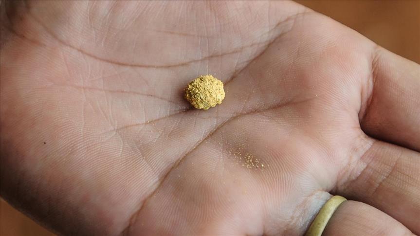 Forrestania reports high-grade gold results from British Hill drilling