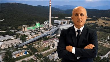 Yeniköy Kemerköy Enerji'nin taşıdığı zeytin ağaçları yeniden meyve verdi