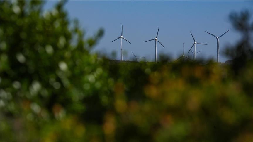 Vestas raises yearly profit outlook as second-quarter revenue and orders surge