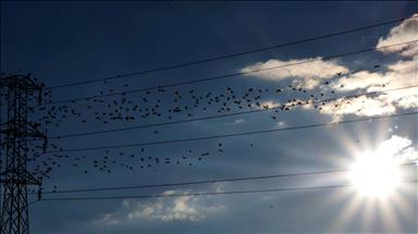 Spot market electricity prices for Thursday, Aug. 13