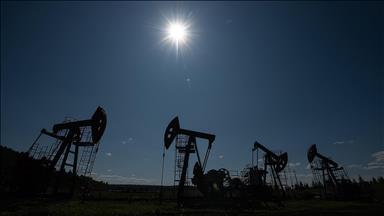 ABD'nin ticari ham petrol stokları 17,4 milyon varil arttı