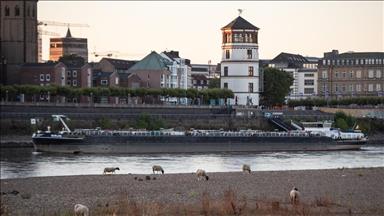 Record-low Rhine water levels cause fuel shortages in eastern France