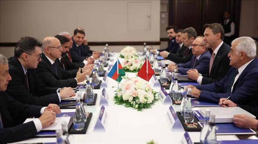 Enerji ve Tabii Kaynaklar Bakanı Bayraktar, Azerbaycan Enerji Bakanı Şahbazov'la görüştü