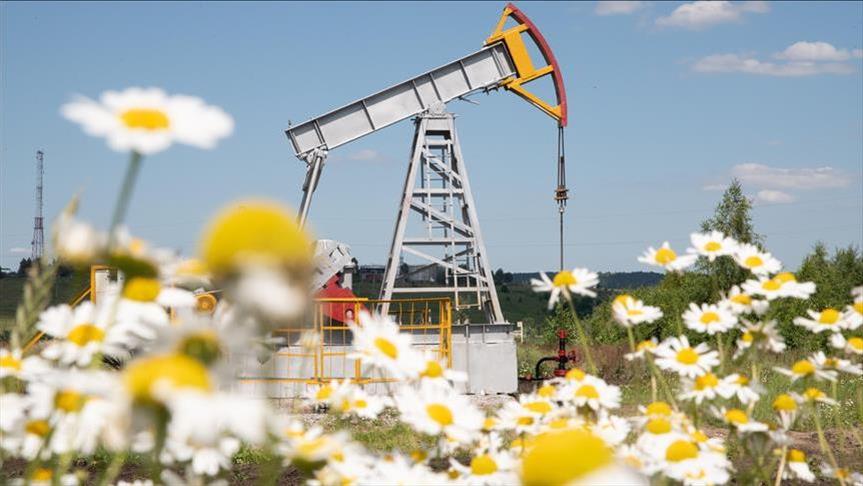 US crude oil inventories down 0.2% in week ending Sept. 11