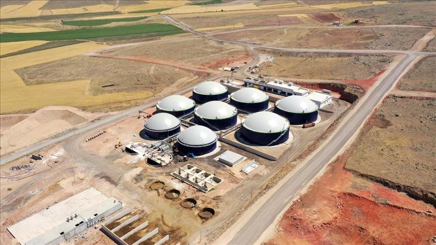 Türkiye's livestock waste offers major untapped energy potential
