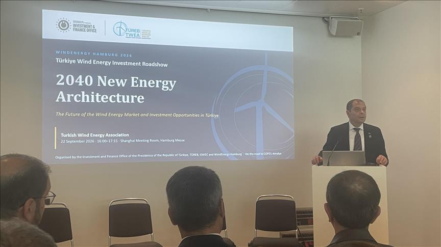 Türkiye to reshape energy system as its renewable targets rise