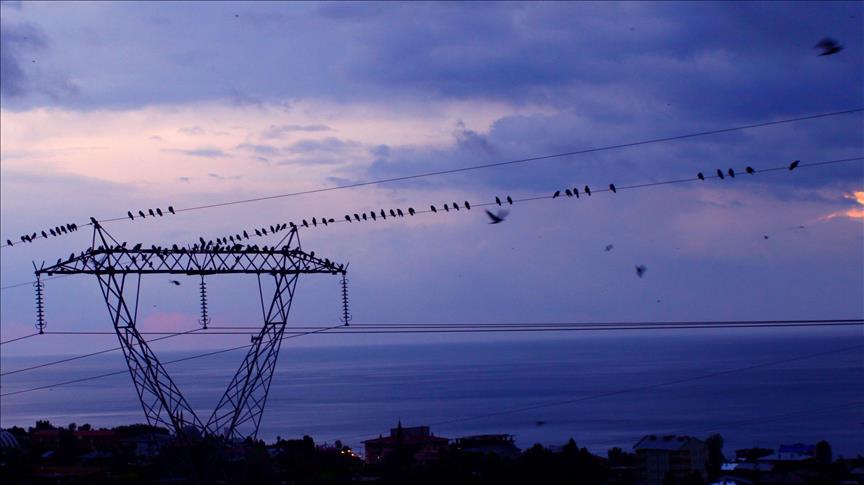 Türkiye's daily power consumption down 5.21% on Oct. 3