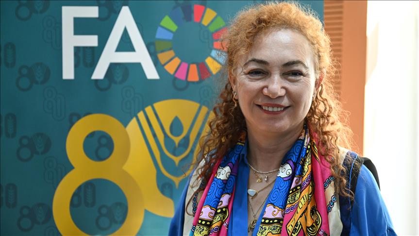 Improving energy efficiency key to cutting food costs and waste, FAO says