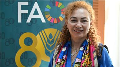 Improving energy efficiency key to cutting food costs and waste, FAO says