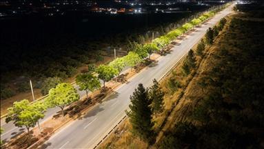 Dicle Elektrik, Şanlıurfa GAP Havalimanı yoluna 472 aydınlatma direği dikti