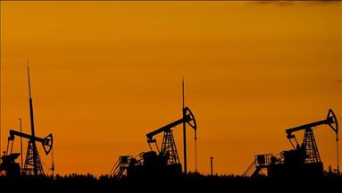 IEA members to accelerate release of 100M barrels as oil markets remain tight