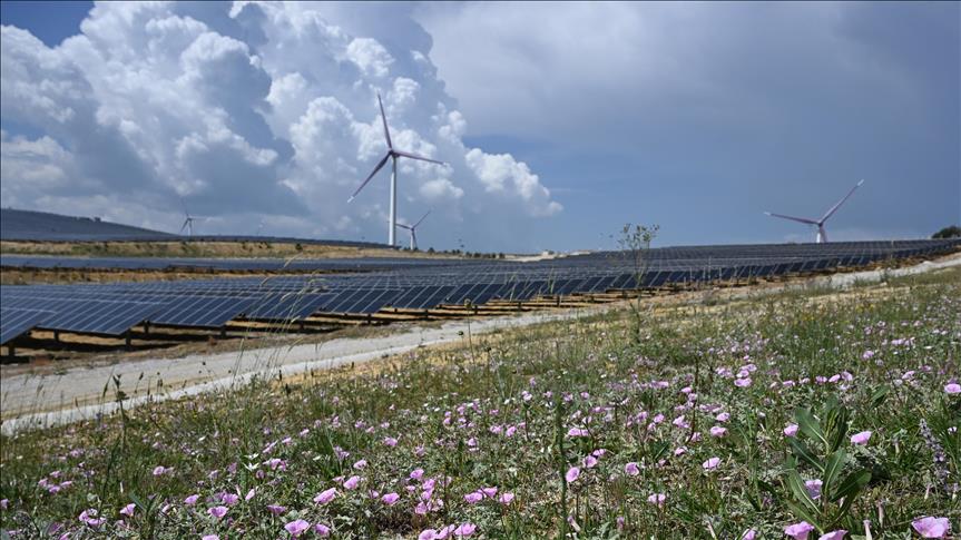 Clean energy plays growing role in meeting rising global electricity demand