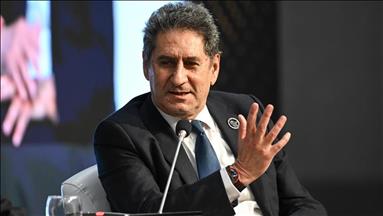 COP31 offers key opportunity to turn climate goals into action, IRENA chief says