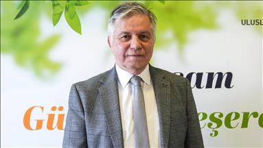 GÜNDER, COP31'de çatıların güneş enerjisi yatırımları için kiralanmasını önerecek