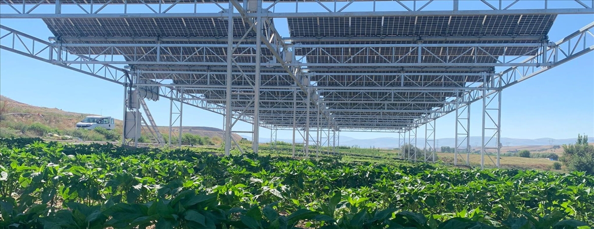 TarımGES, tarlada enerji üretirken daha az su tüketimi ve daha çok verim sağlayacak