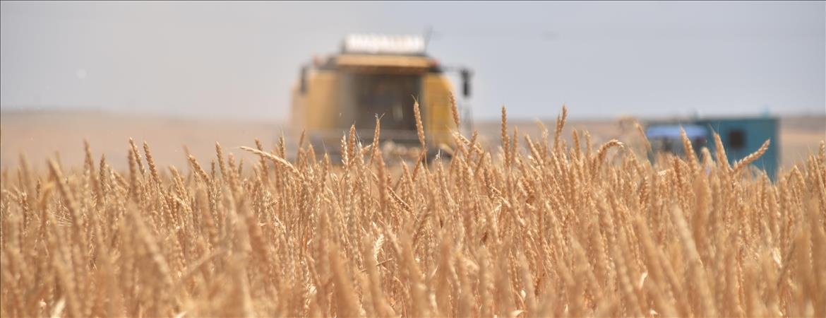 Only 4% of climate finance directed to agricultural resilience despite mounting heat risks: FAO official