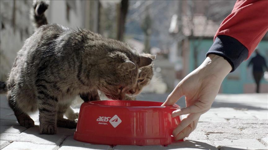 Aras Kargo'dan sokak hayvanları için su kabı seferberliği 