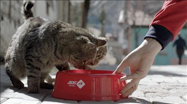 Aras Kargo'dan sokak hayvanları için su kabı seferberliği 