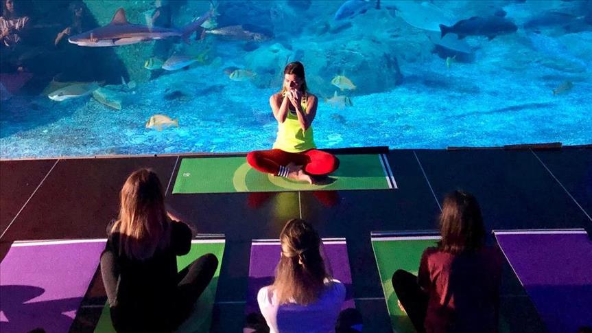 İstanbul Akvaryum'da 19 Mayıs kapsamında yoga etkinliği düzenlendi 