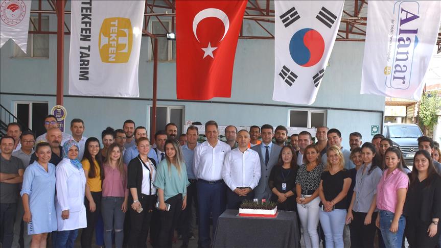 Tekfen Tarım ilk kez Güney Kore’ye kiraz ihraç etti