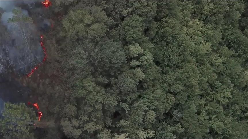 Kiğılı, İzmir'de doğaya 5 bin ağaç kazandıracak