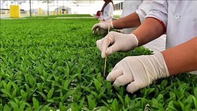 Sektör temsilcilerinden "süs bitkileri,peyzaj" sektörüne destek talebi