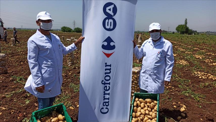 CarrefourSA, sürdürülebilir yerli tarıma destek adına "ne lazımsa" yapıyor