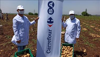 CarrefourSA, yerli tarıma destek adına "ne lazımsa" yapıyor