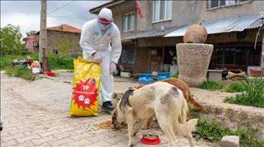 Türkiye Petrolleri’nden sokak hayvanlarına mama desteği